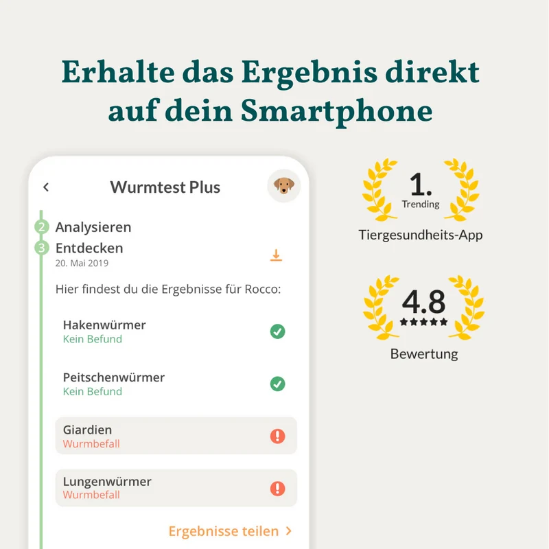 Wurmtest Plus Hund
