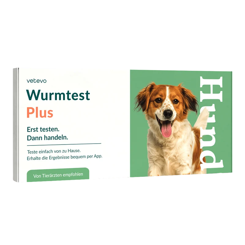 Wurmtest Plus Hund
