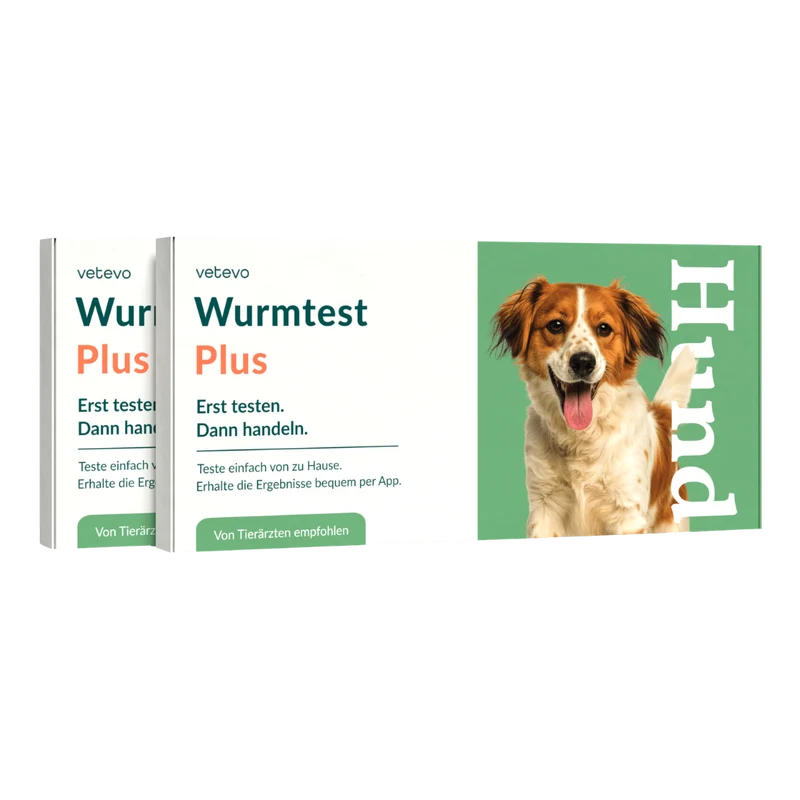 Wurmtest Plus Hund