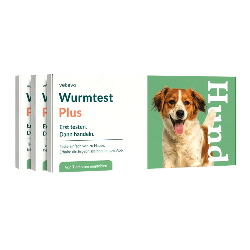 Wurmtest Plus Hund