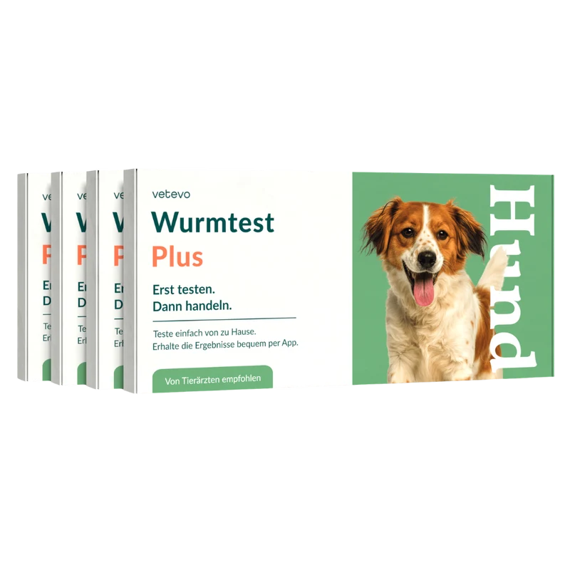 Wurmtest Plus Hund