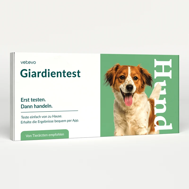 Giardientest Hund