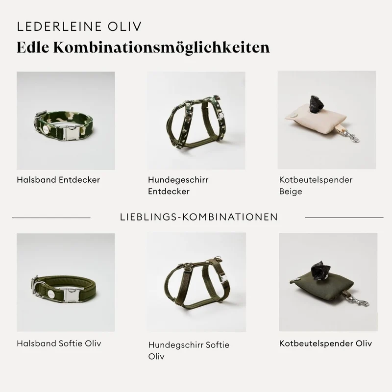 Lederleine SPORTY 250 cm, OLIV (Umhängeleine)