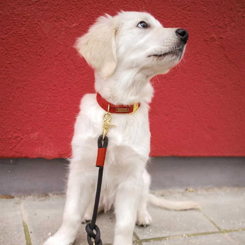 Halsband Softie ROT