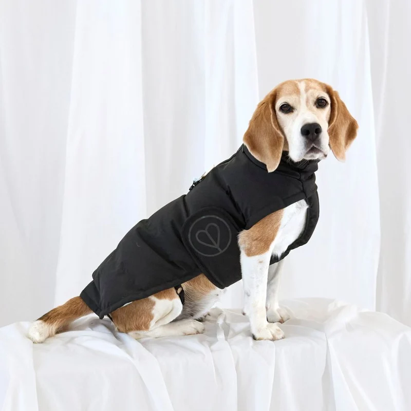Hundewintermantel Nolia Short Black