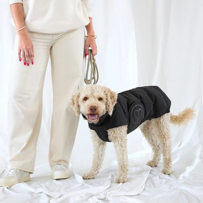 Hundewintermantel Nolia Short Black