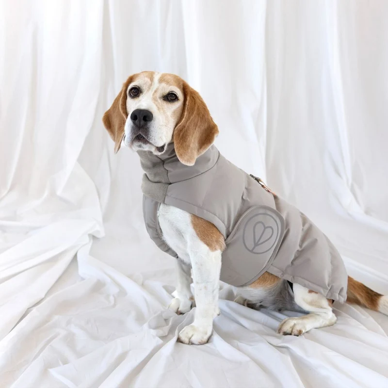 Hundewintermantel Nolia Long Taupe