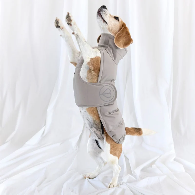 Hundewintermantel Nolia Long Taupe