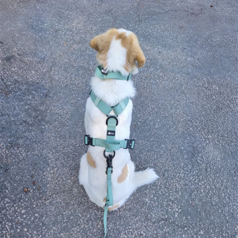 Y-Hundegeschirr WOOFLEX® 4fach-verstellbar mit Griff und Sicherheitsschnallen Jade Green - wasserfest