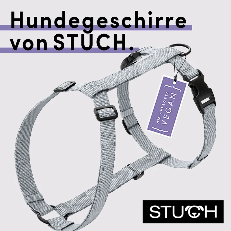Hundegeschirr Vegan PureControl Grau