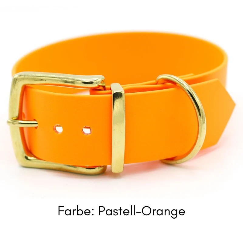 BioThane® Hundehalsband mit Messing-Schnalle | Modell "Statement" | 38mm breit
