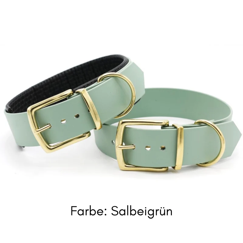 BioThane® Hundehalsband mit Messing-Schnalle | Modell "Statement" | 38mm breit