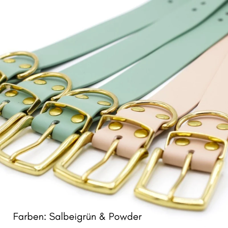 BioThane® Hundehalsband mit Messing-Schnalle | Modell "Statement" | 38mm breit