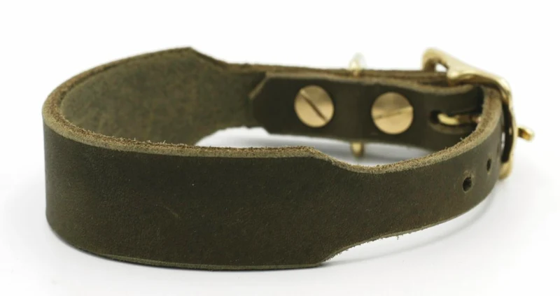Fettleder Halsband „Amazing" oliv | Breite 3.5cm | HU 25-29cm