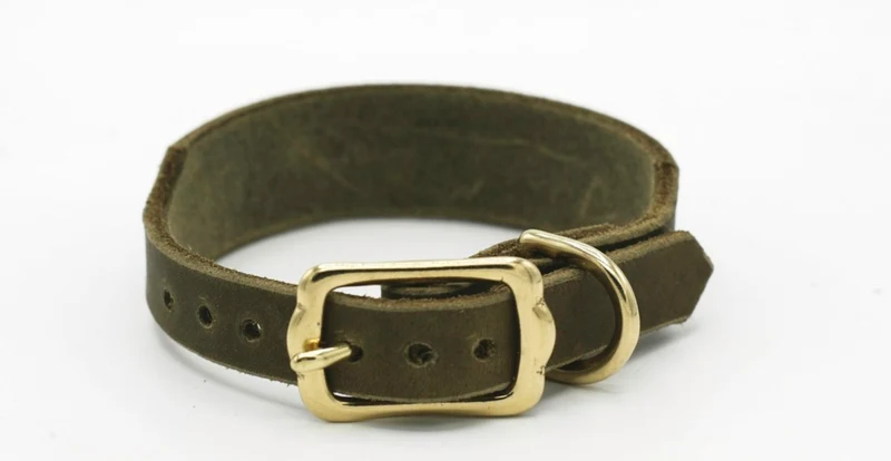 Fettleder Halsband „Amazing" oliv | Breite 3.5cm | HU 25-29cm