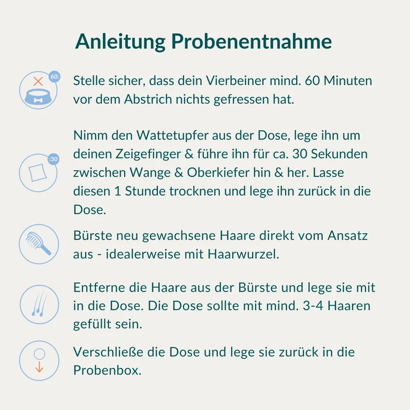 Allergietest - Konservierungsstoffe Hund