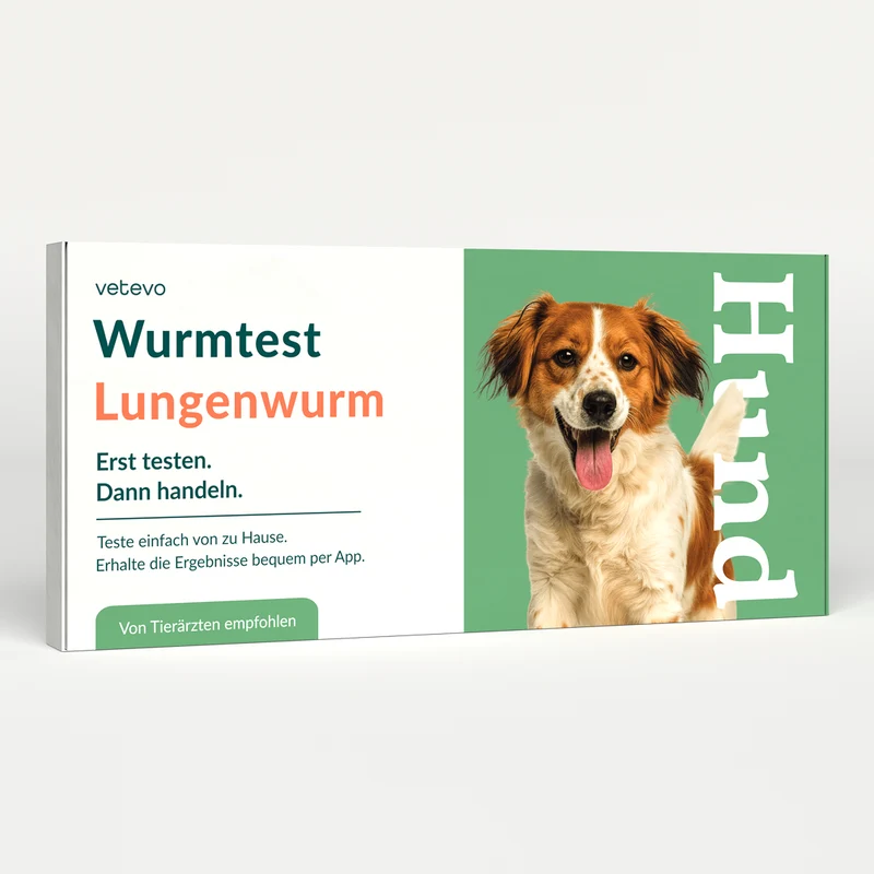 Lungenwurmtest Hund