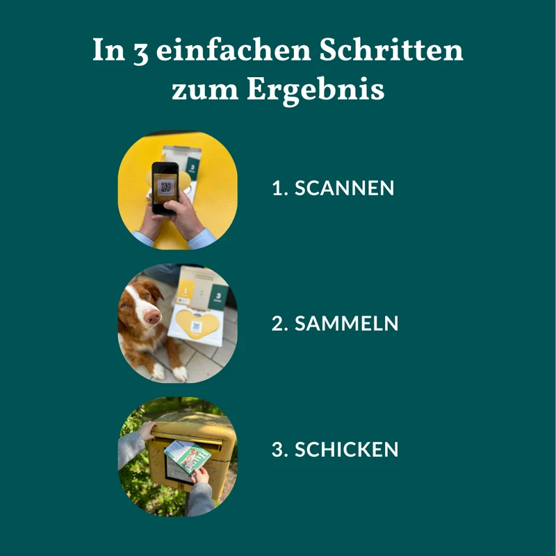 Wurmtest Basic Hund Sparpaket