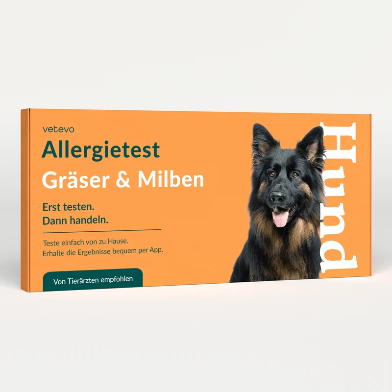 Allergietest - Gräser, Milben & Co. Hund