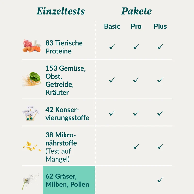 Allergietest - Gräser, Milben & Co. Hund