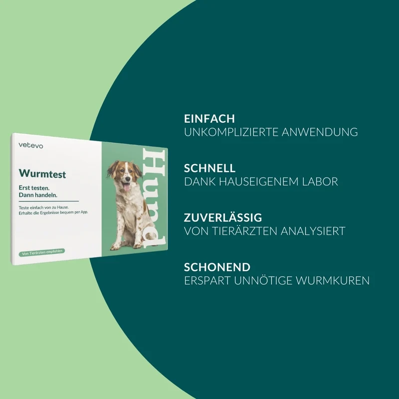 Wurmtest Basic Hund