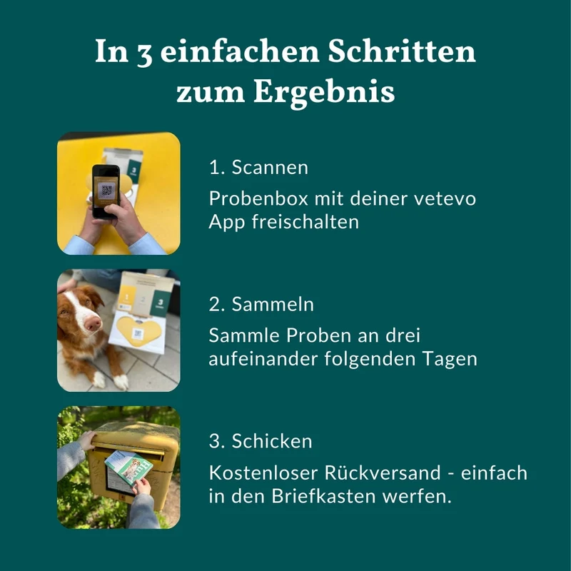 Wurmtest Basic Hund