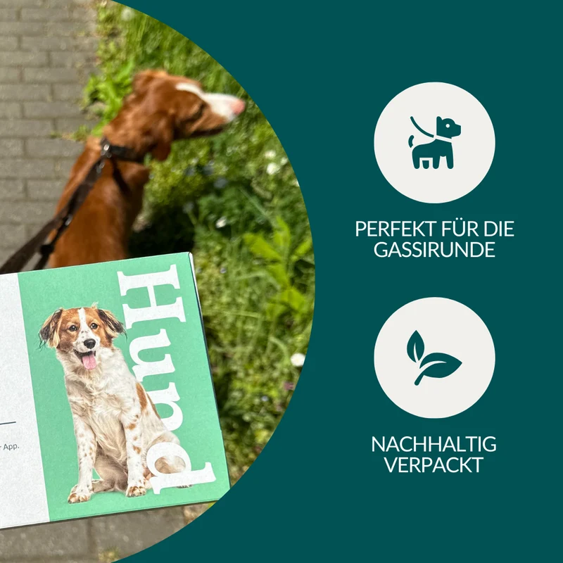 Wurmtest Basic Hund