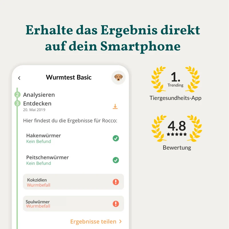 Wurmtest Basic Hund