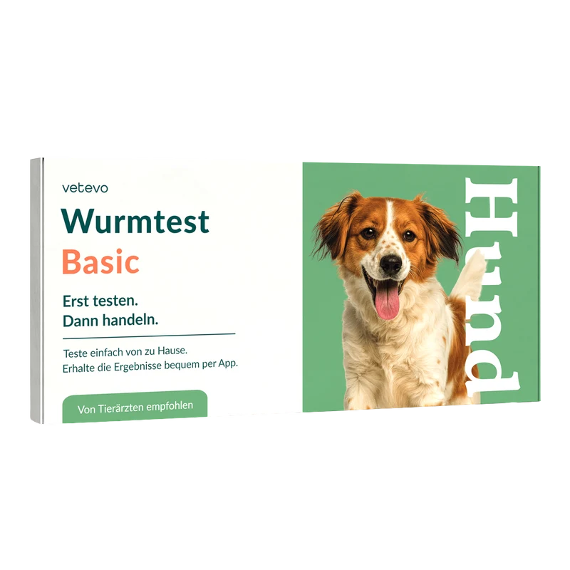 Wurmtest Basic Hund