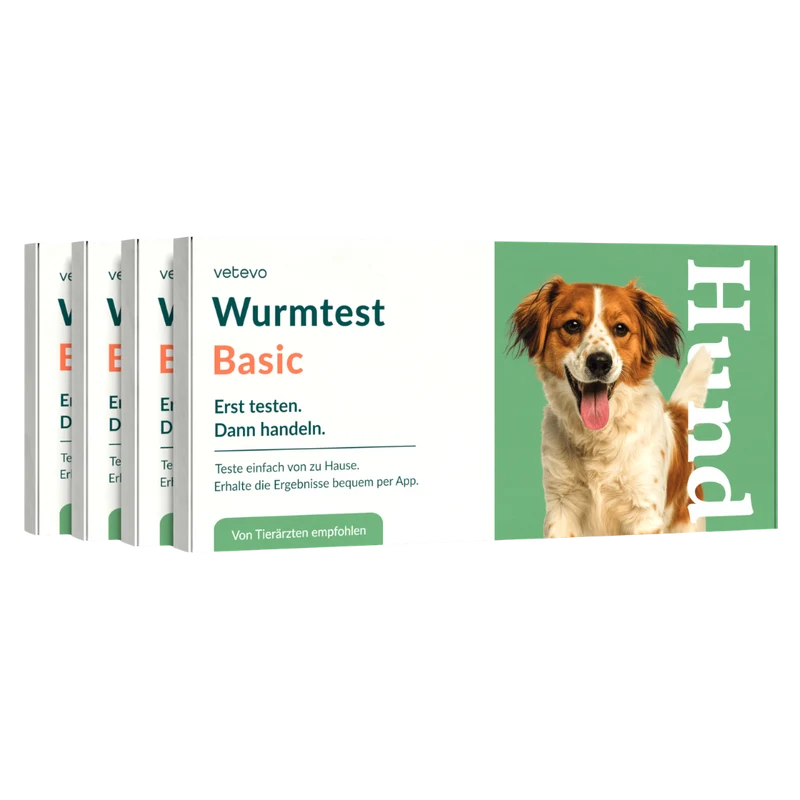 Wurmtest Basic Hund