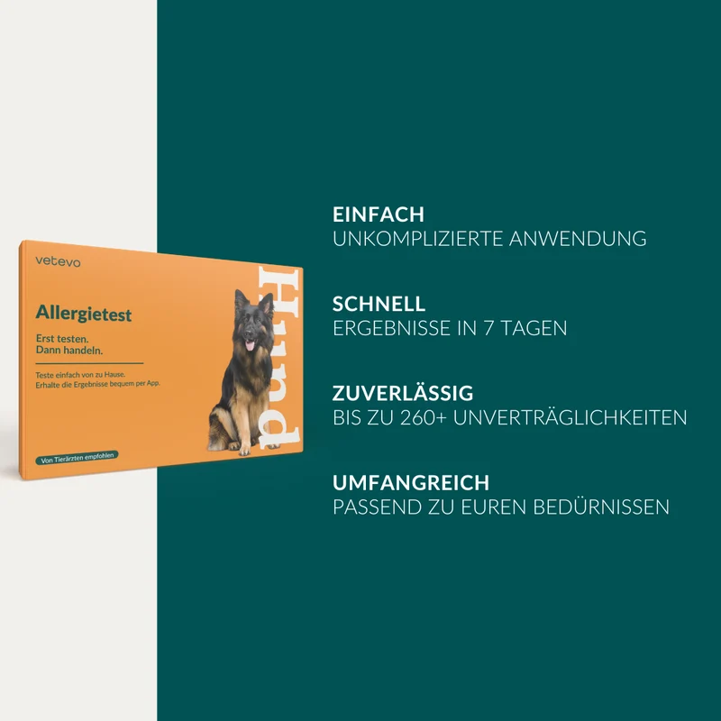 Allergietest Basic Hund