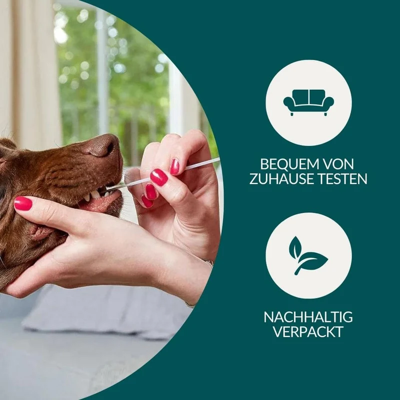 Allergietest Basic Hund