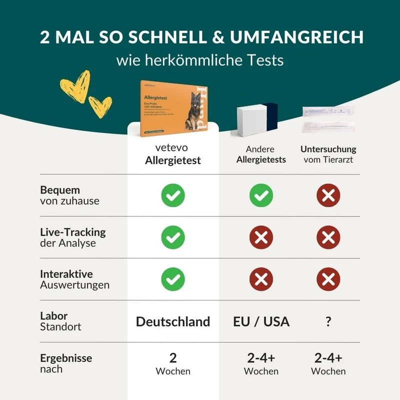 Allergietest Basic Hund