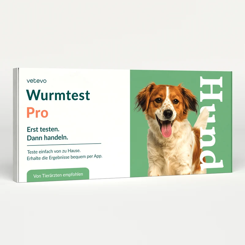 Wurmtest Pro Hund