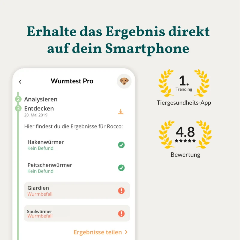 Wurmtest Pro Hund