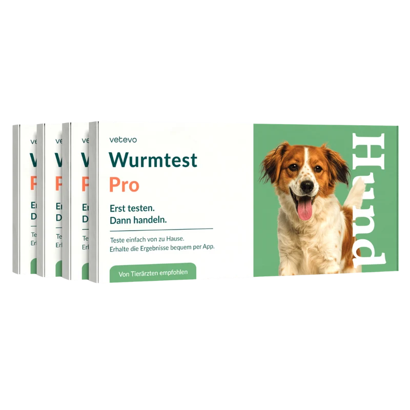 Wurmtest Pro Hund