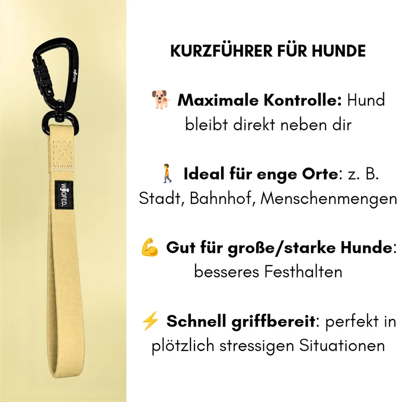Kurzführer WOOFLEX® Lemon Grass