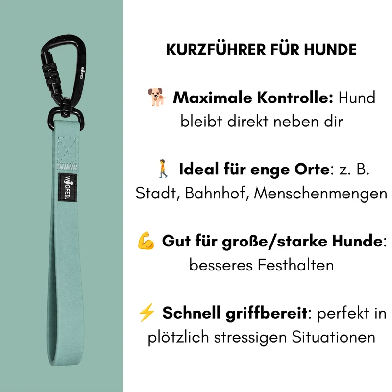 Kurzführer WOOFLEX® Jade Green