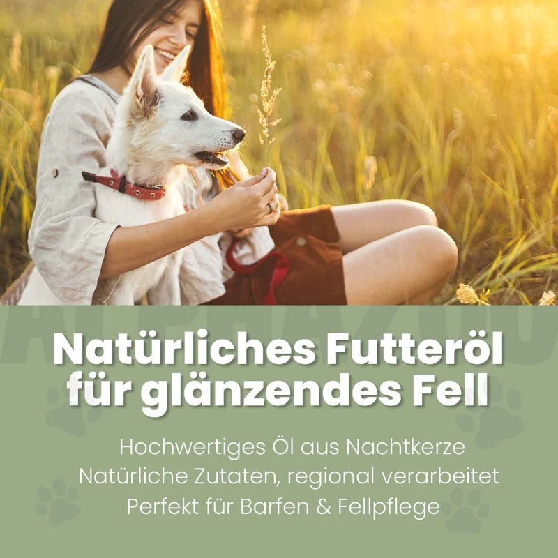 Nachtkerzenöl für Hunde