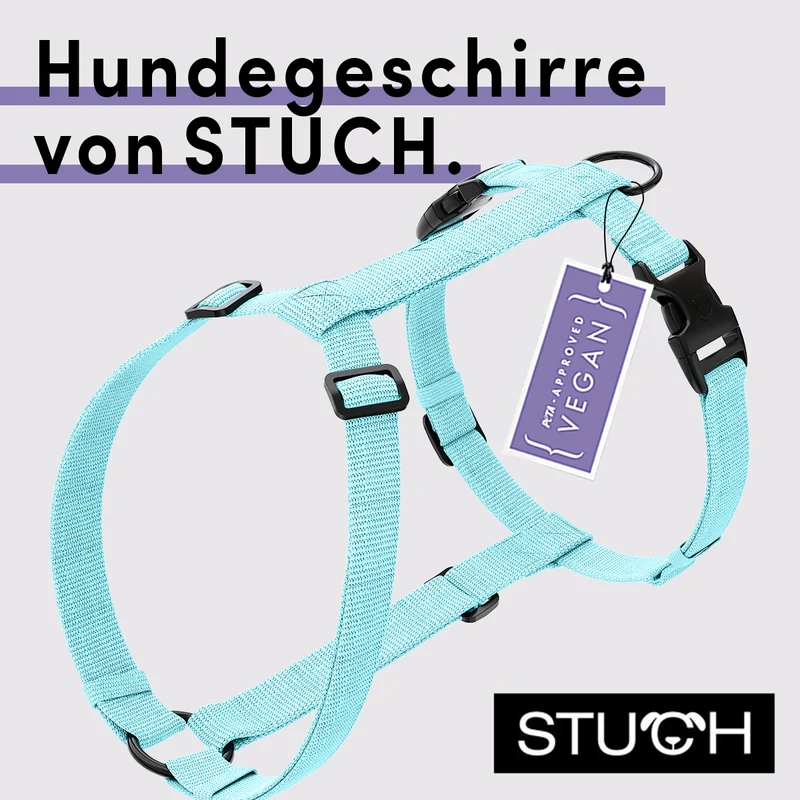 Hundegeschirr Vegan PureControl Hellblau