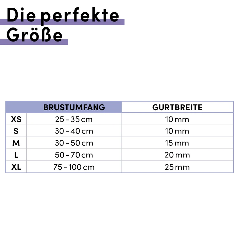 Hundegeschirr Vegan PureControl Hellblau