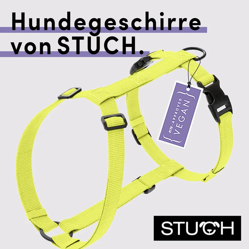 Hundegeschirr Vegan PureControl Lime