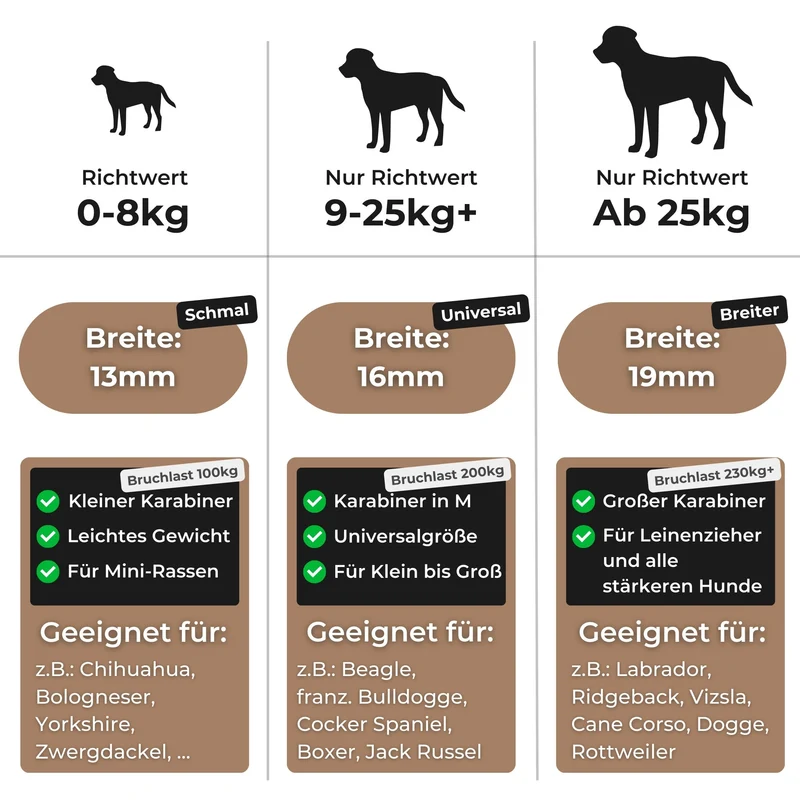 BioThane Hundeleine | Amethyst-Schwarz