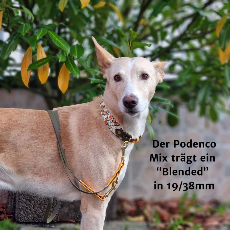 Motiv BioThane® Halsband | Modell "Blended"
