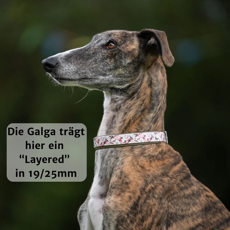 Motiv BioThane® Halsband | Modell "Layered"