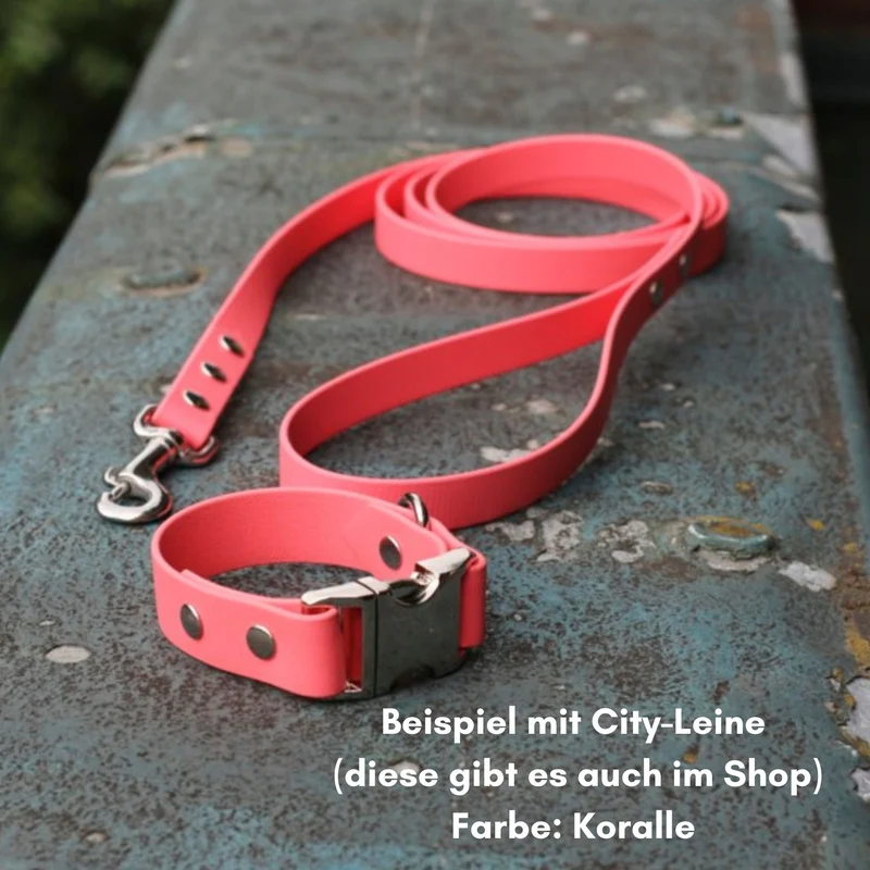 BioThane® Hundehalsband mit Alu-Maxx® Klickverschluss | Modell "Basic" | 19/25mm breit