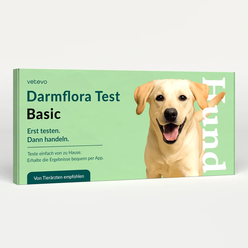 Darmflora Test Hund