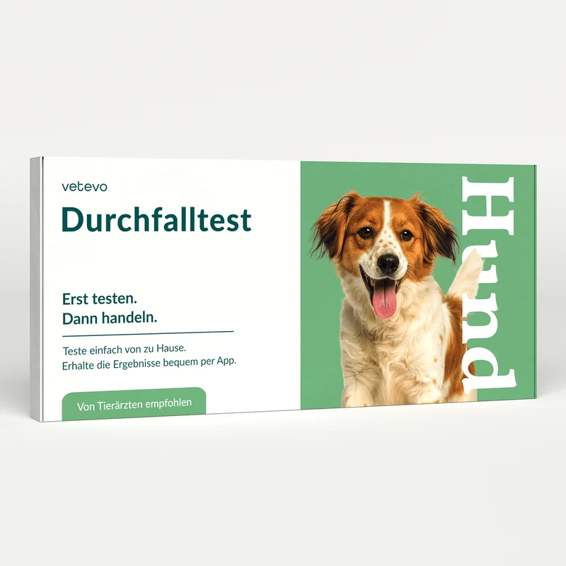 Durchfalltest Hund