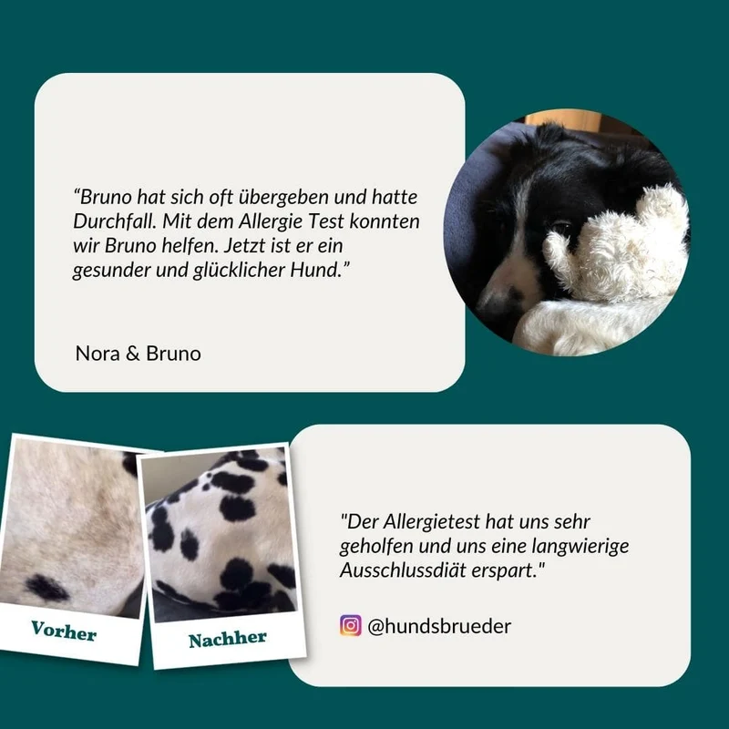 Allergietest Plus Hund