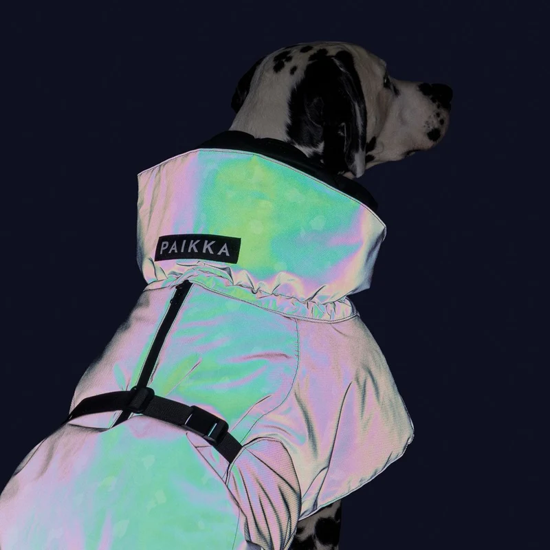 Vollreflektierender Hundewintermantel Seawool Grey Leo